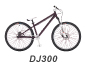 dj-300-10_Thumb